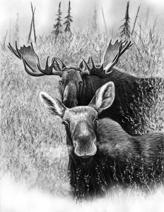 "Between the Sheets"